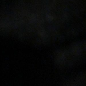 Meet your Posher, Natu